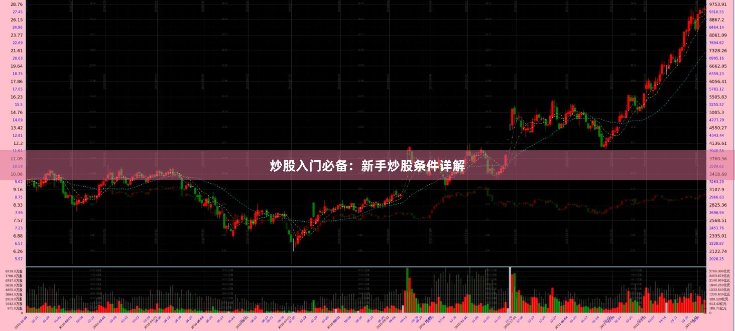 炒股入门必备：新手炒股条件详解